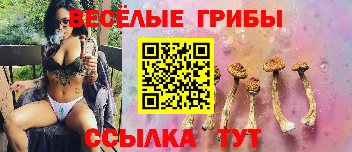 Псилоцибиновые грибы GOLDEN TEACHER Серпухов