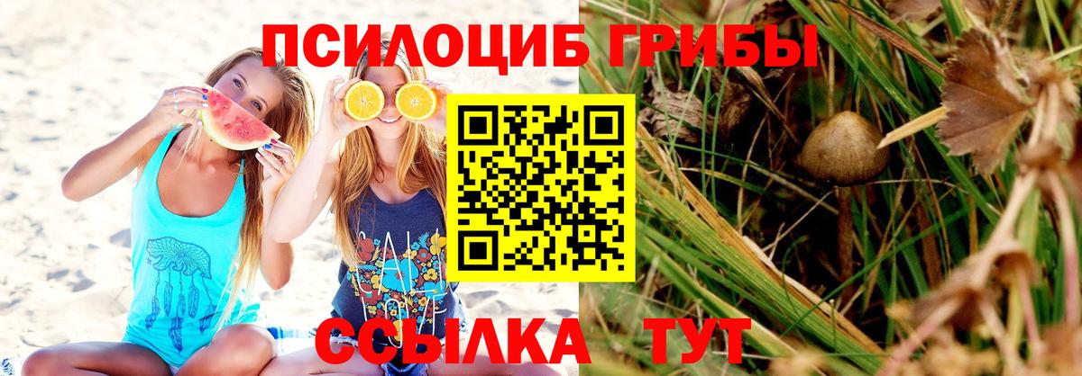Галлюциногенные грибы Psilocybe  Псилоцибиновые грибы прущие грибы  Серпухов  магазин продажи   Вход с VPN 